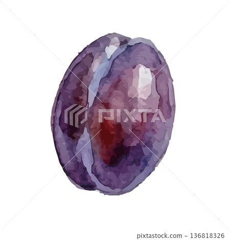 水彩風格的李子插圖 136818326