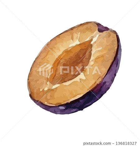 Watercolor style illustration of prunes Watercolor style illustration of prunes 136818327
