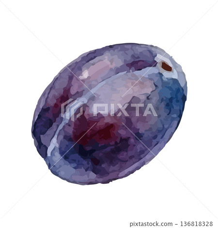 水彩風格的李子插圖 136818328