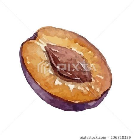 水彩風格的李子插圖 136818329