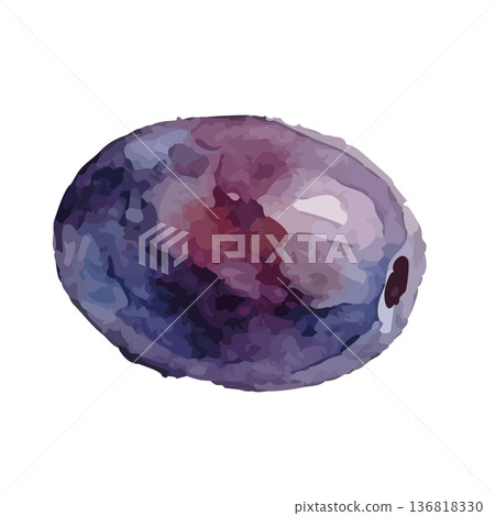 水彩風格的李子插圖 136818330