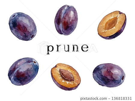 水彩風格的李子插圖 136818331