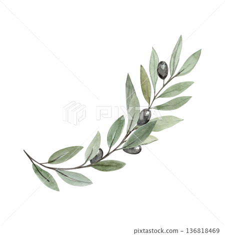 Olive branch isolated, symbol of peace, humility and spiritual renewal during Lent season. Minimal watercolor illustration for Christian design, church media, devotion projects, calm religious layouts Olive branch isolated, symbol of peace, humility and spiritual renewal during Lent season. Minimal watercolor illustration for Christian design, church media, devotion projects, calm religious layouts 136818469