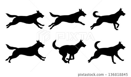 Black Solid Dog Running Gaits Silhouettes Set of Six on White Background 136818845