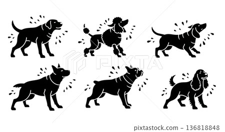 Black Solid Dog Shaking Water Silhouettes Set of Six on White Background Black Solid Dog Shaking Water Silhouettes Set of Six on White Background 136818848