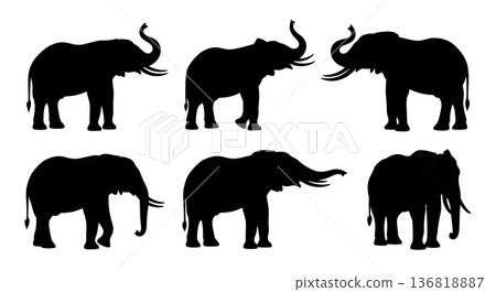 Black Solid Elephant Alert Postures Silhouettes Set of Six on White Background 136818887