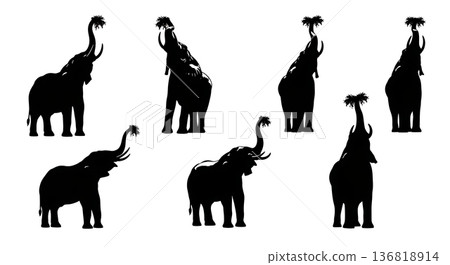 Black Solid Elephant High Reach Silhouettes Set of Six on White Background 136818914