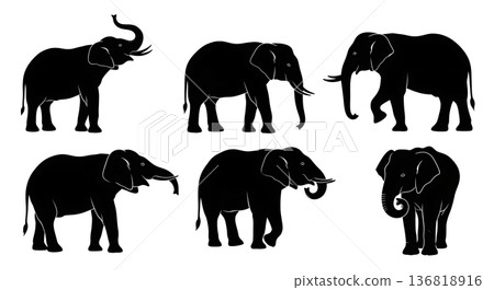 Black Solid Elephant Investigation Silhouettes Set of Six on White Background Black Solid Elephant Investigation Silhouettes Set of Six on White Background 136818916