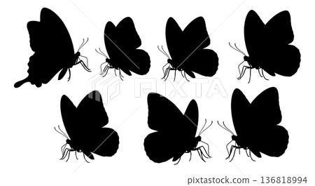 Black Solid Feeding Butterfly Silhouettes Set of Six on White Background 136818994