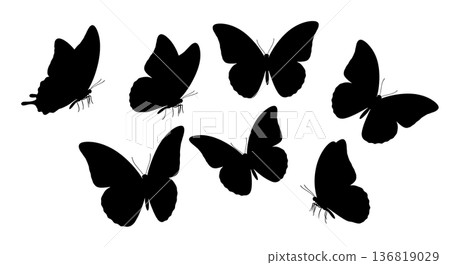Black Solid Group Butterfly Silhouettes Set of Six on White Background 136819029