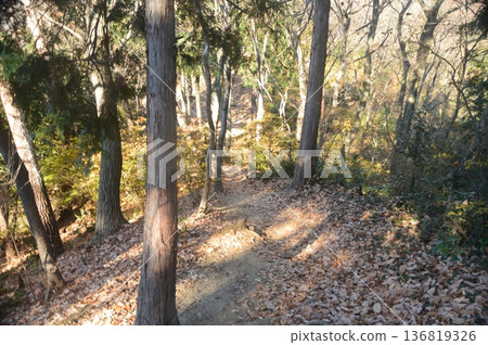 Winter mountain trail (Kanshodoyama, Yorii Town, Saitama Prefecture) Winter mountain trail (Kanshodoyama, Yorii Town, Saitama Prefecture) 136819326