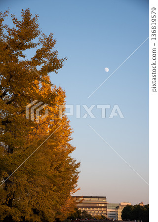 月亮漂浮在秋天的天空 月亮漂浮在秋天的天空 136819579