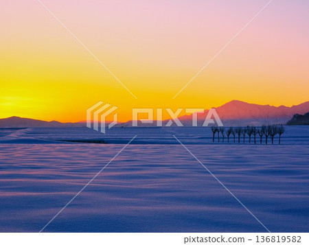 Snowy fields of parsley at sunrise, Echigo Sanzan snowscape at dawn Snowy fields of parsley at sunrise, Echigo Sanzan snowscape at dawn 136819582