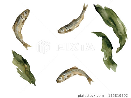 水彩風格的日式高湯(乾沙丁魚和海帶)插圖 水彩風格的日式高湯(乾沙丁魚和海帶)插圖 136819592