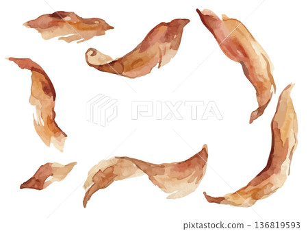 Watercolor style bonito flakes illustration 136819593
