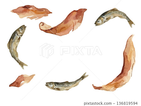 水彩風格的鰹魚乾(沙丁魚乾和鰹魚片)插圖 水彩風格的鰹魚乾(沙丁魚乾和鰹魚片)插圖 136819594