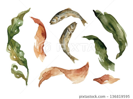 水彩風格的日式高湯(乾沙丁魚、海帶、鰹魚片)插圖 水彩風格的日式高湯(乾沙丁魚、海帶、鰹魚片)插圖 136819595
