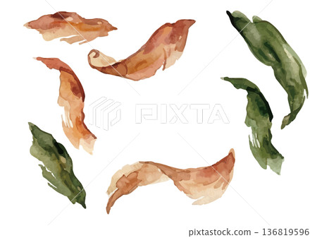 水彩風格的鰹魚片和海帶插圖 136819596