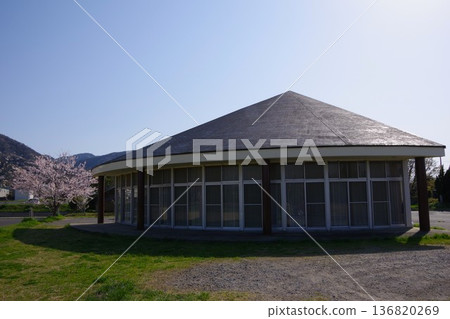 兵庫縣洲本市木戶農業公園櫻花盛開的景象 兵庫縣洲本市木戶農業公園櫻花盛開的景象 136820269