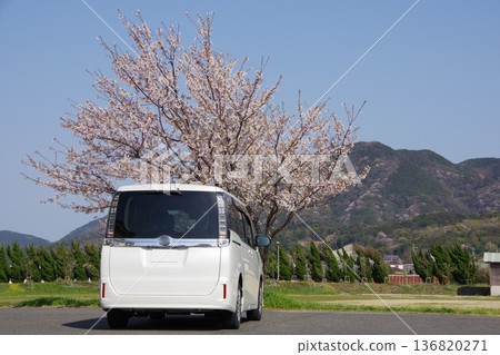 Drive image Sakura Drive image Sakura 136820271
