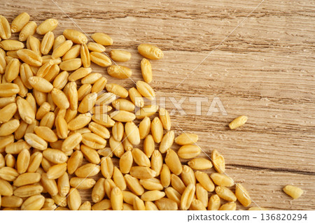 Wheat and grains ears agricultural, organic farm concept. 136820294