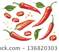 水彩風格的辣椒插圖 136820303