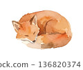 水彩狐狸插圖 136820374