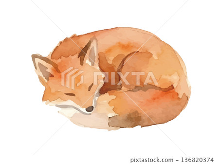 Watercolor fox illustration Watercolor fox illustration 136820374