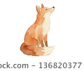 水彩狐狸插圖 136820377