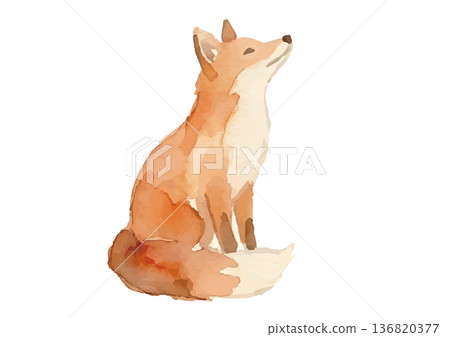 Watercolor fox illustration 136820377