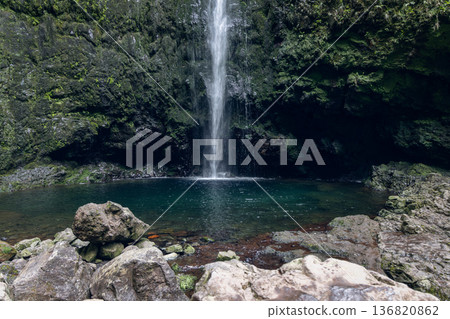 Caldeirao Verde Waterfall pours as a ribbon down basalt cliffs into green pool framed by ferns 136820862