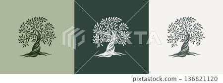 Hand draw abstract Olive tree. Hand draw abstract Olive tree. 136821120