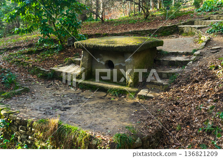 ancient megalith, dolmen in the park ancient megalith, dolmen in the park 136821209