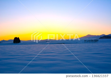 晨曦中,白雪皚皚的歐芹樹,越後三山的冬日美景 晨曦中,白雪皚皚的歐芹樹,越後三山的冬日美景 136821337