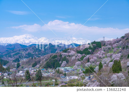 [Spring in Satoyama] Sakura in Ogawa Village and Nitanda [Nagano Prefecture] 136822248