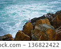 Seagulls sits on the rock, East sea. South Korea 136822422