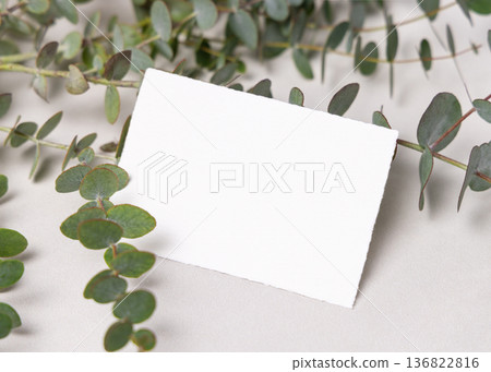 Mockup of blank card near green eucalyptus branches. Botanical wedding invitations and event design Mockup of blank card near green eucalyptus branches. Botanical wedding invitations and event design 136822816