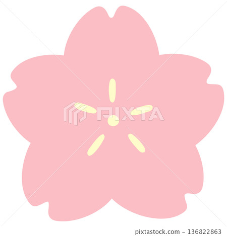 Simple cherry blossom illustration, hand drawn sakura, spring icon 136822863