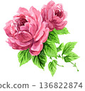 水彩粉紅玫瑰 26221像素7 136822874