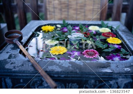 Flowers floating in the waterhouse Flowers floating in the waterhouse 136823547