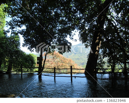 View from above at Kuang Si Falls 136823946