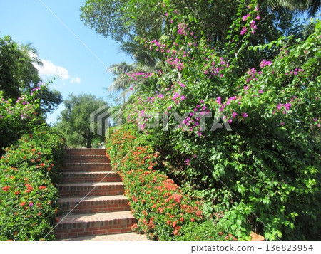 瑯勃拉邦的秋景 136823954