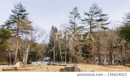 四季的腳步聲隱約穿過寂靜的樹林。 四季的腳步聲隱約穿過寂靜的樹林。 136824023