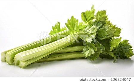 一束芹菜，新鮮蔬菜食材，白色背景 136824047