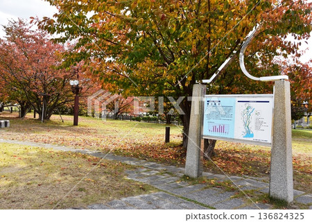 桑名市防洪工程資訊牌及三之丸公園秋景 桑名市防洪工程資訊牌及三之丸公園秋景 136824325