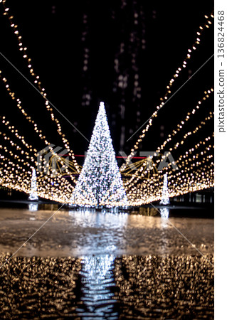 The lit-up fountain plaza at Fugan Canal Kansui Park in Toyama City is even more beautiful with the falling snow. The lit-up fountain plaza at Fugan Canal Kansui Park in Toyama City is even more beautiful with the falling snow. 136824468