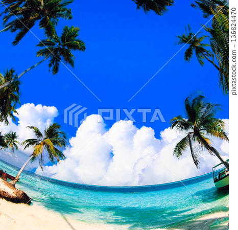 印度洋美麗的珊瑚礁海 印度洋美麗的珊瑚礁海 136824470