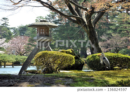 Kanrokoen garden lantern Kanrokoen garden lantern 136824597
