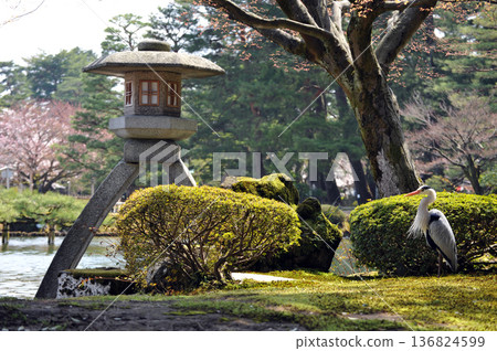 Kanrokoen garden lantern 136824599