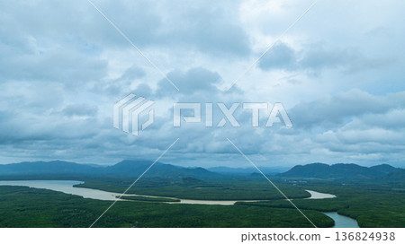 Aerial View of A tranquil river flowing through lush green mangrove forests 136824938